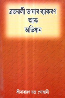 Brazavali Vashar Biyakaran Aru Abhidhan